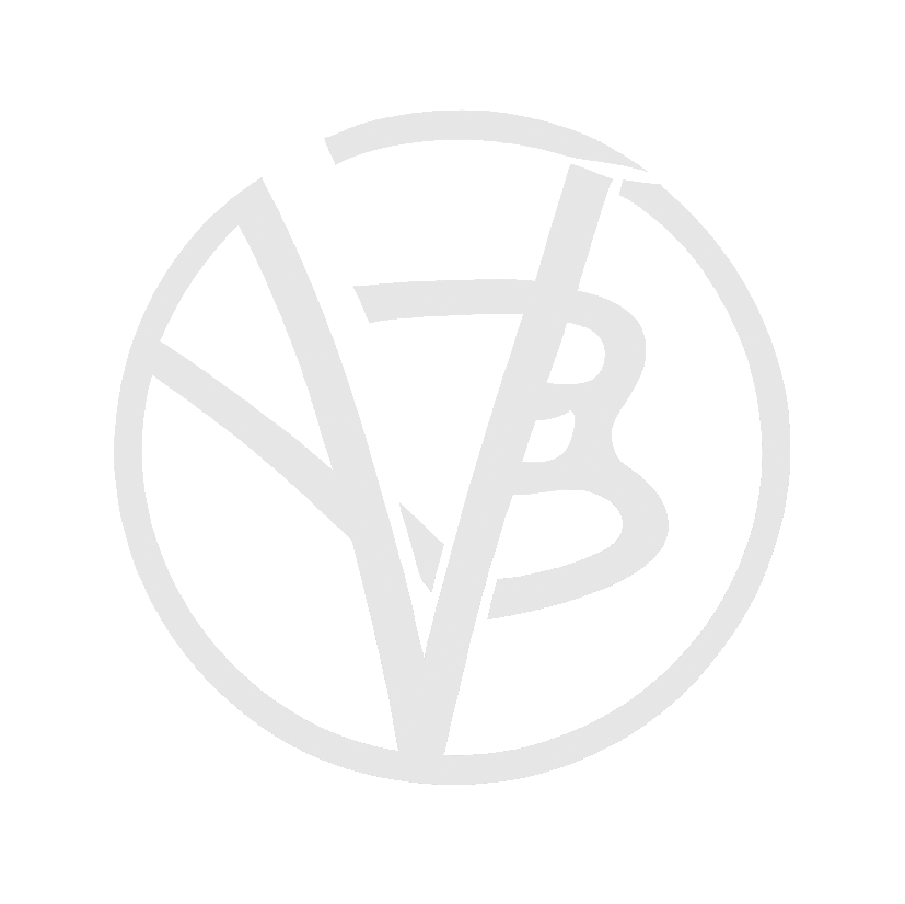 Varun Bhandari Logo